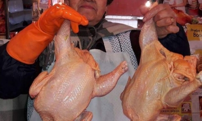 Venta de pollo en un mercado paceño. Foto de archivo.