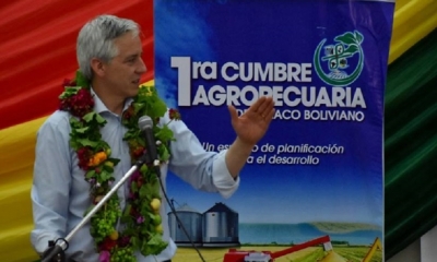 Alvaro Garcia Linera/Foto. Vicepresidencia