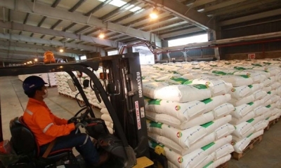 La planta produce actualmente 1.600 toneladas de urea / Foto: Jorge Ibañez