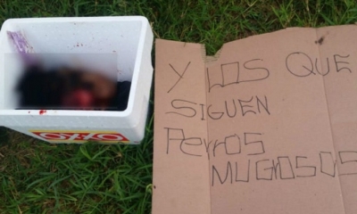Imagen Referencial. 