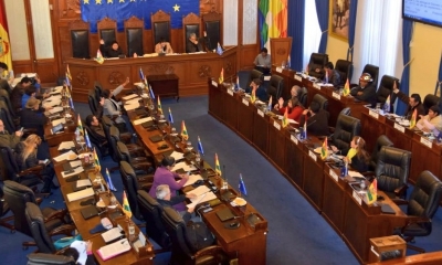 Cámara de Senadores/Foto. RRSS