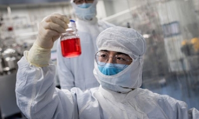 Un estudio sobre esta investigación, en la revista especializada 