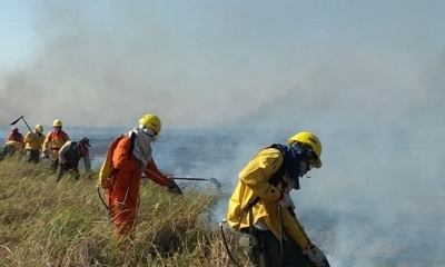 Los bomberos intentan aplacar el fuego en el parque Otuquis, la semana pasada. Foto: ABI  POR ROSÍO FLORES