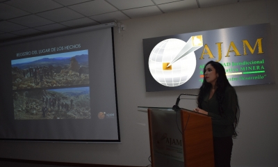 Directora ejecutiva de la Autoridad Jurisdiccional Administrativa Minera (Ajam), Brenda Lafuente.