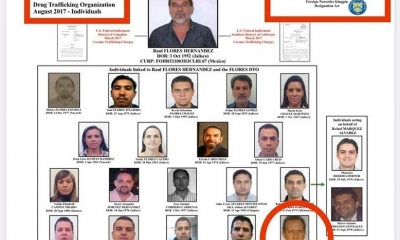 El organigrama de la DEA, en el que figura Fernando Gustavo Álvarez Peralta. / Foto: Gigavisión