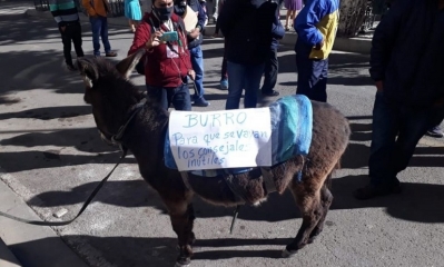 Con un burrito que tenía un cartel pidiendo de que “se vayan los concejales”