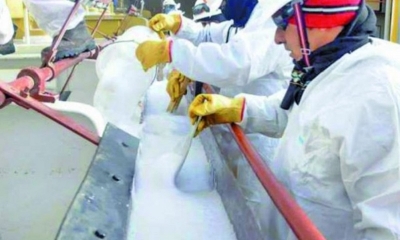 Licitarán construcción de la planta industrial de carbonato de litio
