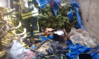 El primer informe indica que la explosión fue por carburo en los platanos/foto. RRSS