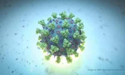 Imagen ilustrativa NEXU Science Communication / Reuters