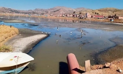 Aves vuelan encima del aceite que se derramó el 26 de noviembre. 