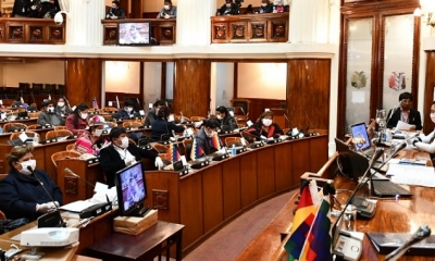 La sesión de la Cámara de Diputados. Foto: Cámara de Diputado
