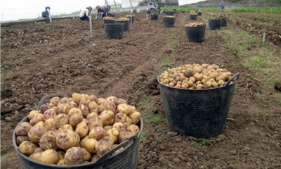  Ministerio de Desarrollo Rural y Tierras invirtió 7 millones de bolivianos en esa región del sur del país