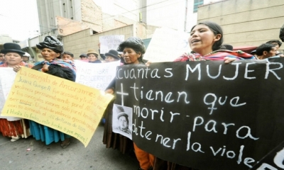 Imagen Referencial