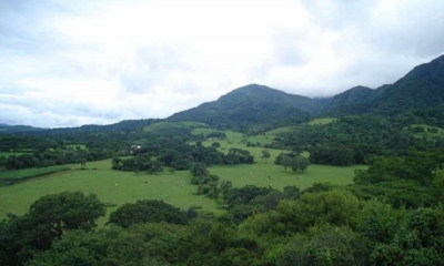 Distintos municipios de Tarija que apoyan el proyecto de modificar la ley del 45 por ciento para los municipios productores de el país