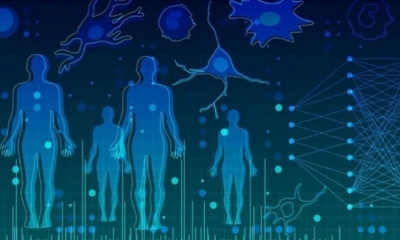 El grupo Nature y Cell Reports publican nueve artículos coordinados por la iniciativa Programa Atlas BioMolecular Humano