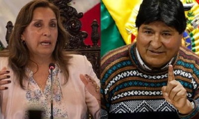 Imagen referencial