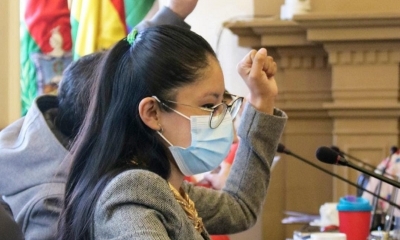 Esta declaratoria surgió como iniciativa de la concejal del Movimiento Al Socialismo (MAS), Joselinne Pinto.
