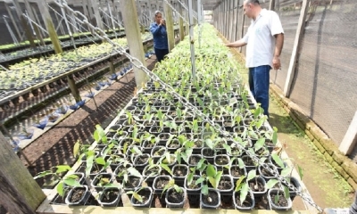 Jardín Botánico produce gran cantidad de variedades en plantas.