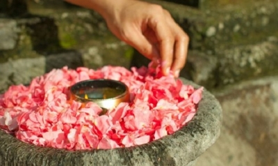 En la historia de la humanidad, los rituales siempre han estado vinculados a las plantas.