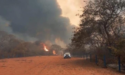 El parque Ñembi Guasu fue afectado por la reactivación del fuego. | RRSS