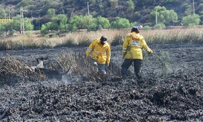 La gran cantidad de ceniza que quedó en el sector quemado de la laguna Alalay.
