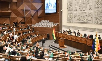 La Cámara de Diputados