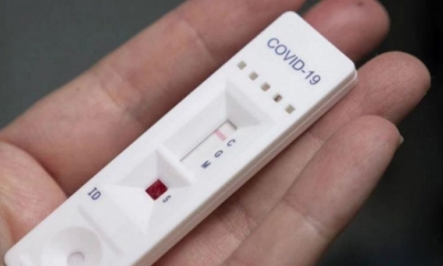 Prueba rápida de Covid-19 | Internet 