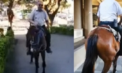 Alquilo un caballo para llegar a su trabajo/Foto. Captura de pantalla
