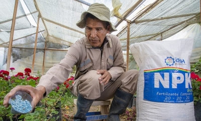  Las mezclas físicas permiten a los agricultores planificar con anticipación y tener un control más preciso sobre los nutrientes 