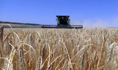 Cosecha de grano en la regióin de Odesa. | EFE
