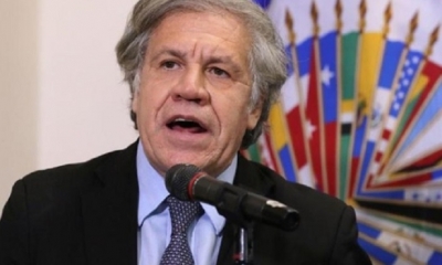 Luis Almagro/Foto. Captura de pantalla