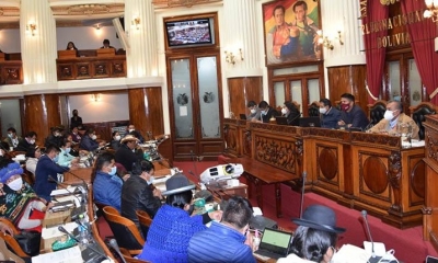 Los legisladores durante la sesión. | Senado Bolivia