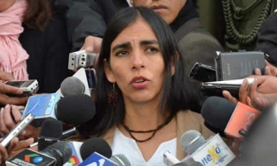 La presidenta de la Cámara de Diputados, Gabriela Montaño.