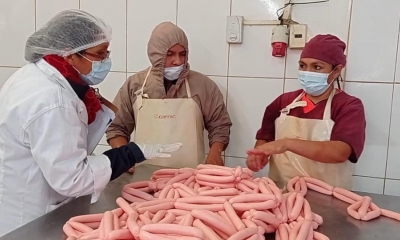 Servicio Nacional de Sanidad Agropecuaria e Inocuidad Alimentaria (Senasag)