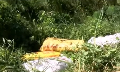 La joven fue abandonada en medio la maleza/Foto. RRSS