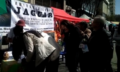 Colectivos ciudadanos recolectan firmas en el centro de La Paz/Foto. Captura de pantalla