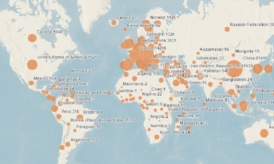 Mapa de casos confirmados COvid-19 de la OMS. | OMS