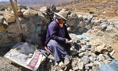 Viudas de Mineros sin Renta