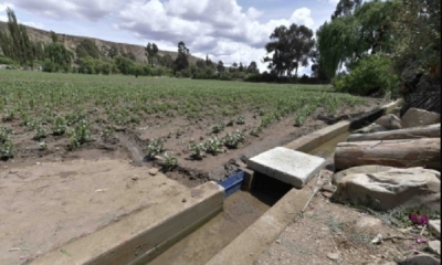 El Gobierno invirtió desde 2014 hasta la fecha más de 18 millones de dólares para ejecutar 75 proyectos del programa Mi Riego