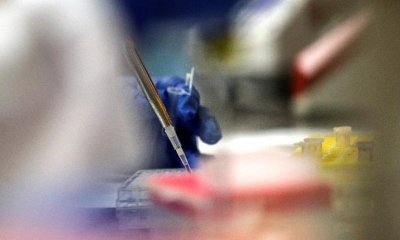 Trabajo en un laboratorio. | Foto archivo | EFE