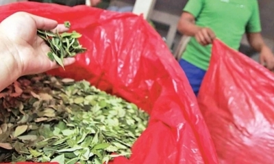 La comercialización de hoja de coca en un mercado de La Paz. / Foto: Archivo