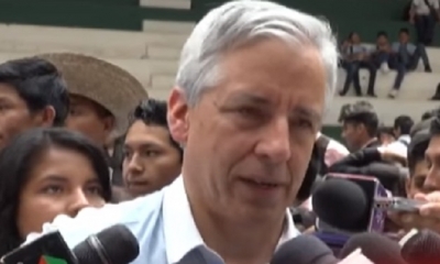 Álvaro García Linera/Foto. Captura de pantalla