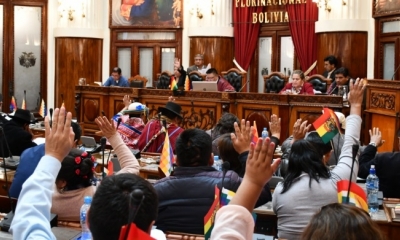 Cámara de Diputados/Foto. RRSS