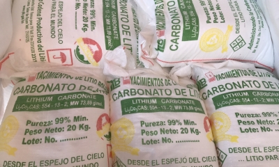 Yacimientos del Litio Bolivianos (YLB).