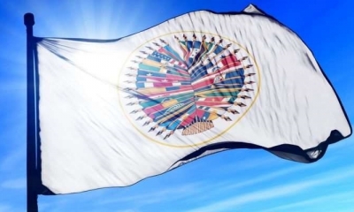  Organización de los Estados Americanos