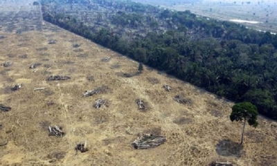 La sostenibilidad de la selva sudamericana se ve amenazada por la deforestación. | Fuente: AFP