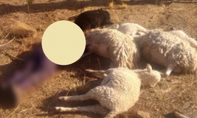 La FELCC levantó el cadáver del menor/Foto. Captura de pantalla