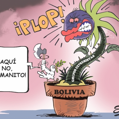 Grupos extremistas ?