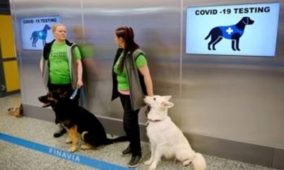 os perros policía en América Latina