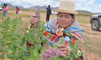 Imagen referencial. Foto: ABI